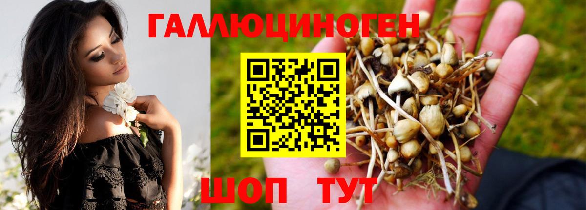 Псилоцибиновые грибы мицелий Ноябрьск
